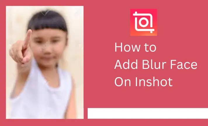 Add Blur Face in inshot