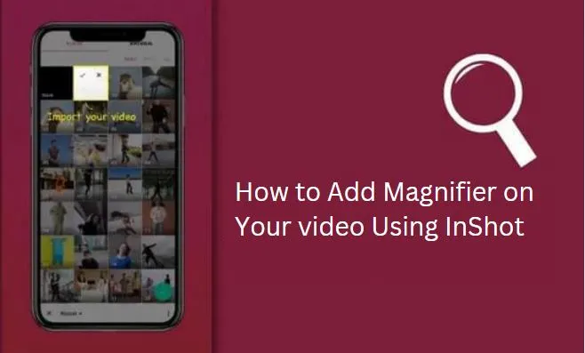 How to Add Magnifier on Video in Inshot